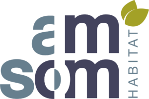 Logo Amsom
